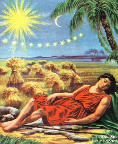 Genesis 37 Bible Pictures: Joseph's dream Joseph Dreams, Bible Heroes, Bible Photos, Dream Images, Bible Stories For Kids, Bible Images, Bible Illustrations, Bible Characters, Bible Pictures