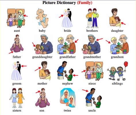 English Vocabulary: Family Members and Different Types of Family – ESL Buzz Esl For Kids, Cheshire Cat Wallpaper, House Vocabulary, Animals Name In English, Arabic Learning, Relationship Chart, Family Worksheet, English Teaching Materials, English Spelling