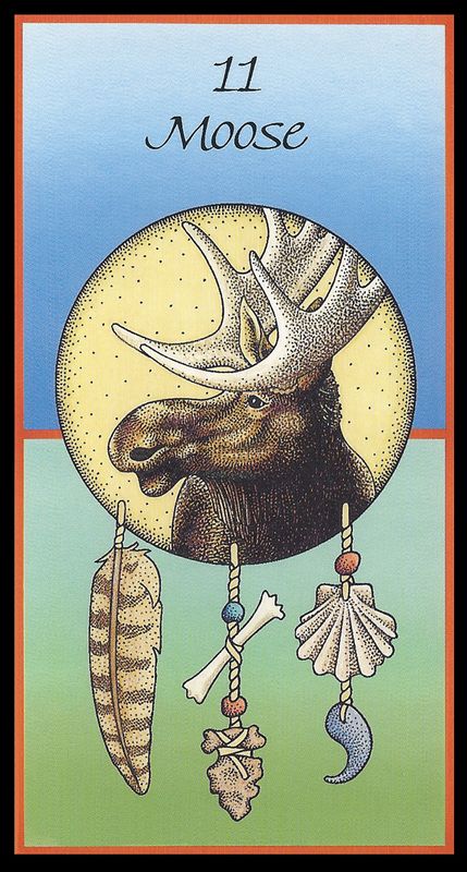 Animal Medicine Cards, Medicine Cards, Animal Tarot, Oracle Cards Decks, April Easter, Animal Spirit Guides, Animal Medicine, Spirit Animal Art, Power Animal