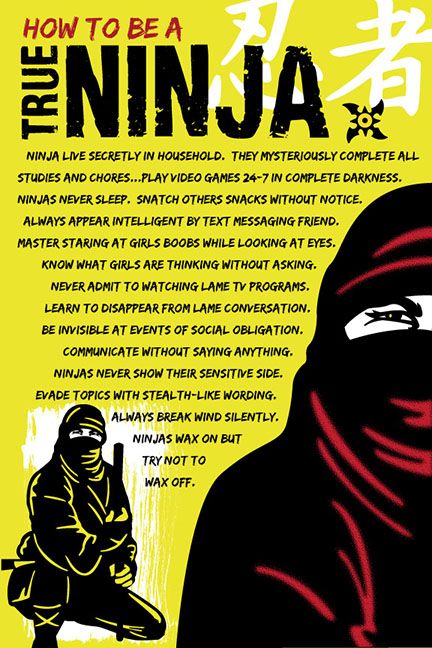 How To Be A Ninja, Funny Posters For Room, Frat House Decor, Plexi Art, Real Ninja, Ninja Funny, Ninja Skills, Funny Art Print, Posters Funny