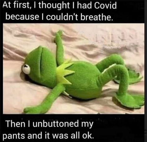 Kermit Funny, Monday Humor, Funny Thoughts, Davao, Twisted Humor, E Card, Work Humor, Sarcastic Quotes, Funny Cartoons