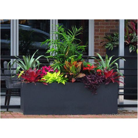 Patio Flower Pots, Backyard Planters, Rectangular Planter Box, Potted Plants Patio, Helen Green, Front Flower Beds, Concrete Staircase, Patio Flowers, Potted Plants Outdoor