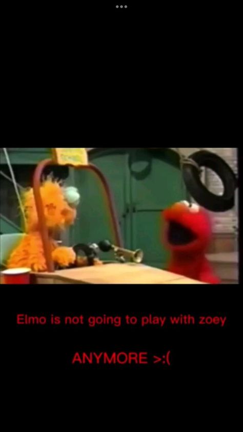 Funny Elmo, Elmo Pictures, Elmo Videos, Beautiful Ocean Pictures, Ocean Pictures, Beautiful Ocean, Internet Funny, Videos Funny, Memes