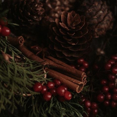 YULE Natural Yule Decor, Yuletide Aesthetic, Solstice Aesthetic, Natural Yule Decorations, Dark Yule Aesthetic, Dark Christmas Tree, Yule Log Pagan, Dark Yule, Yule Aesthetic Pagan