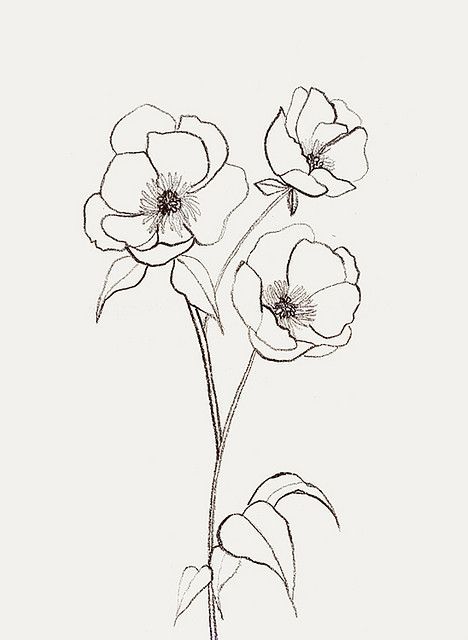 I believe that perhaps true self-love comes from letting go a part of yourself that you really loved but is no longer making you grow. It may be something self-destructive. It may be a habit that y… Flor Tattoo, Simple Flower Drawing, Poppy Drawing, Poppies Tattoo, Line Art Drawing, Flower Sketches, 수채화 그림, Trendy Flowers, Plant Drawing