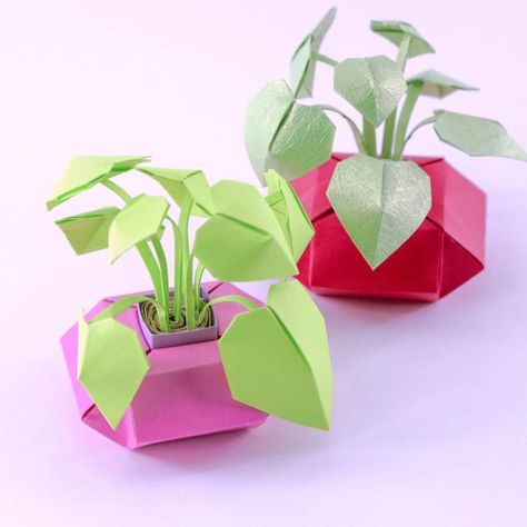 Origami Candy Box, Origami Gift Bag, Origami Lotus Flower, Paper Kawaii, Paper Flower Wall Hanging, Origami Gift Box, Diy Newspaper, Paper Craft Tools, Origami Gifts