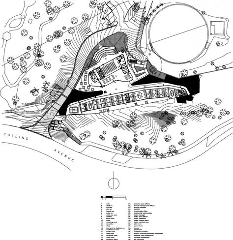 Cairns Botanic Gardens Visitors Centre / Charles Wright Architects Public Space Design, Research Center, Garden Elements, Botanic Gardens, Botanic Garden, Visitor Center, Cairns, Queensland, Botanical Gardens