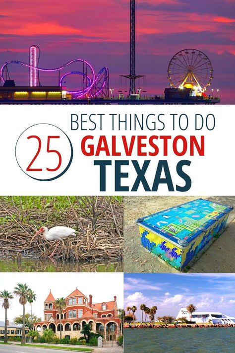 25 FUN Things to Do in Galveston Texas Galveston Texas Vacation, Texas Vacation, Texas Trip, Galveston Beach, State Park Camping, Cruise Ports, Destination Unknown, Usa Destinations, Texas Vacations