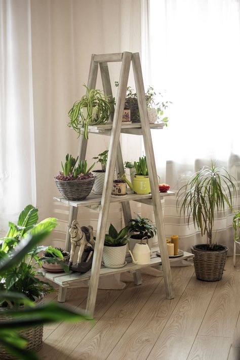 Ladder Bookcase, Plant Decor, Ladder Decor, Bookcase, Woodworking, Apartment, Shelves, Tattoos, Plants