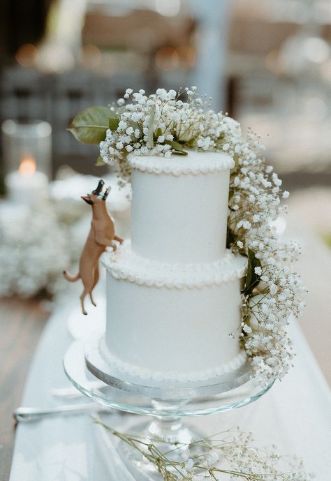 Wedding Cakes Dog Eating, Dog Cake Wedding, Small Wedding Cake With Dog, Simple Wedding Cake With Dog, Wedding Cake Dog Eating, Wedding Cake With Dog Eating, Dog On Wedding Cake, June Wedding Cake, Wedding Cakes With Dogs