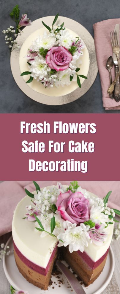 Planning to surprise your loved ones with fresh flowers on a cake. However, not sure which fresh flowers are safe for cake decorating? Well, it is not as easy as piling them on top of any frosting. Likewise, not all flowers are safe to utilize on a cake. For instance, baby’s breath and hydrangeas are famous in bouquets, but they are, in fact, toxic. If it gets in contact with the cake frosting, do not eat the cake because it could be harmful. Cake Decorating Edible Flowers, Food Safe Flowers For Cake, Decorating Cake With Real Flowers, Fresh Flower Cake Ideas, Decorate Cake With Flowers, Fresh Flowers On A Cake, Cakes With Real Flowers, Real Flower Cake, Birthday Cake With Fresh Flowers