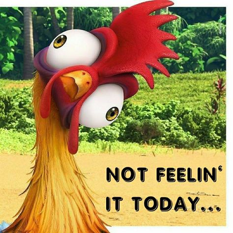 Good Morning Funny Pictures, Cartoon Chicken, Rooster Art, Chicken Art, Disney Moana, Chicken Humor, Funny Cartoon Quotes, Cute Disney Wallpaper, Funny Animal Pictures