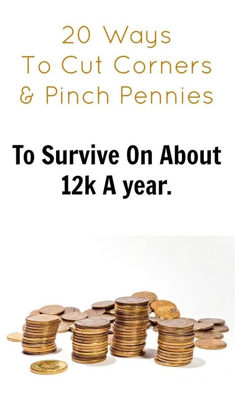 12k a year income - how to pinch pennies and cut corners to live below the poverty line. Friends Worksheet, Penny Pinching, Debt Freedom, Thrifty Living, Money Saving Ideas, Living On A Budget, Boss Girl, Money Money Money, Money Saving Challenge