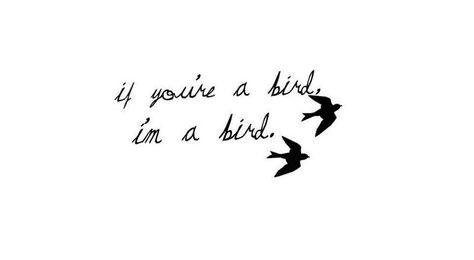 If you're a bird, I'm a bird. The Notebook. Love Bird Tattoo Couples, Notebook Quotes, Quotes Change, Quotes Summer, Surfing Quotes, The Notebook Quotes, Bird Quotes, Favorite Movie Quotes, Taurus Facts