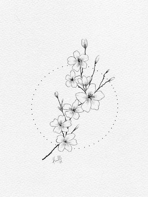 Pretty Line Art Drawings, Star Magnolia Tattoo, Fine Line Cherry Blossom Tattoo Design, Sakura Fine Line Tattoo, Japanese Cherry Blossom Tattoo Fine Line, Sakura Tattoo Black And White, Cherry Blossom Line Tattoo, Cherry Blossom Fine Line Tattoo, Fine Line Japanese Tattoo