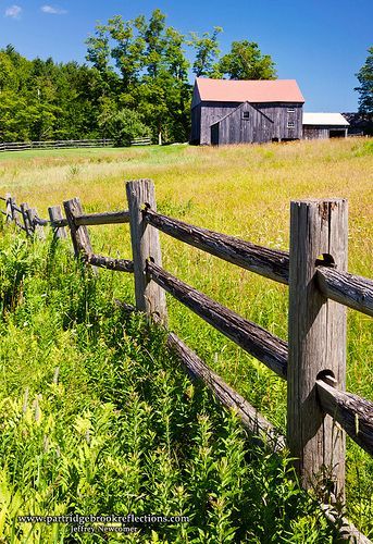 Pasture Fence | Flickr - Photo Sharing! Pasture Fencing, Country Fences, Barn Pictures, Country Barns, Old Fences, Farm Fence, Country Scenes, Backyard Fences, Wooden Fence