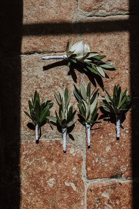 Wedding Bouquet With Olive Branches, Wedding Bouquets With Olive Leaves, Olive Leaf Boutonniere, Olive And White Roses Wedding, Olive Green Wedding Florals, Olive Foliage Wedding, Wedding Olive Leaves, Italian Ruscus Boutonniere, Olive Wedding Bouquet