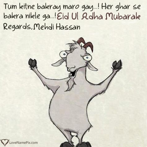 Mehdi Hassan Name Picture - Funny Eid Quotes In Urdu Happy Bakra Eid Mubarak, Eid Quotes In Urdu, Bakra Eid Mubarak Wishes, Funny Eid Mubarak, Bakra Eid Mubarak, Best Eid Mubarak Wishes, New Year Cards Handmade, Eid Ul Adha Images, Eid Quotes