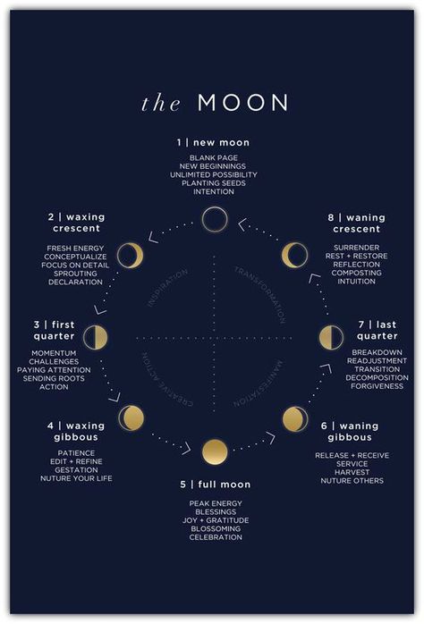 Phases of the moon Tattoo Moon, The Phases Of The Moon, New Moon Rituals, Moon Journal, Moon Cycle, Full Moon Ritual, Moon Calendar, Phases Of The Moon, Lunar Cycle