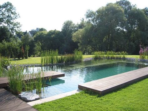 Luxury Pools Indoor, Swimming Pool Pond, Natural Swimming Ponds, Garden Swimming Pool, Swimming Pond, Pond Landscaping, Natural Pond, Natural Swimming Pools, Luxury Pools