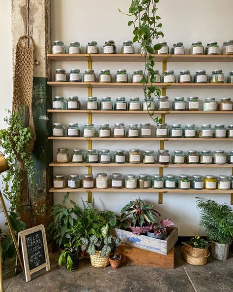 Herb Shop Interior, Herbalist Workspace, Herbal Shop Aesthetic, Victorian Apothecary Aesthetic, Herbalist Office, Naturopathic Medicine Aesthetic, Natural Medicine Aesthetic, Apothecary Shelving, Herbalist Lifestyle