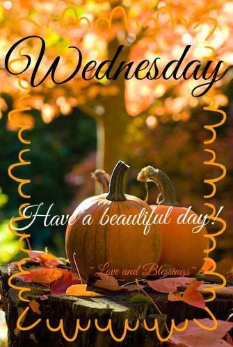 Have a beautiful Wednesday, My Sweet Sister's! I am sitting watching contractors put in floor!!! Looks so much nicer! It is an overcast fall day!!! Hope sun appears today!!! What's on you calendar for the day? Love you all! Muwah! Wednesday Hump Day, Wednesday Greetings, Good Morning Wednesday, Happy Wednesday Quotes, Wednesday Quotes, Wonderful Wednesday, Trees Nature, Labour Day Weekend, Wednesday Morning