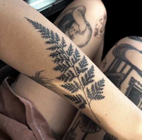 Botanical Bicep Tattoo, Leaf Tattoo Ribs, Fern Knee Tattoo, Bristlecone Pine Tattoo, Fern Symbolism, Woodland Tattoos, Woodland Tattoo, Pet Portrait Tattoos, Pine Tattoo