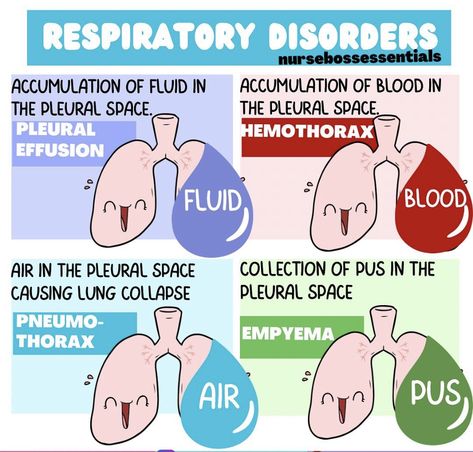 Nursing School Studying Cheat Sheets, Respiratory Disorders, Happy Studying, Nurse Skills, Nursing Information, Pleural Effusion, Nursing School Essential, Medical School Life, Nursing School Motivation