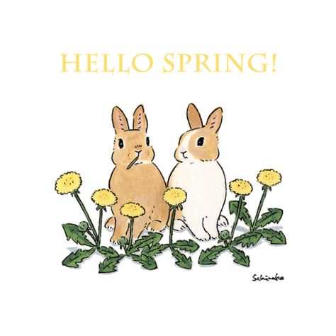 Spring Drawing, Bunny Painting, A Dandelion, Bunny Drawing, Rabbit Art, Bunny Art, Hello Spring, Animal Illustration