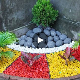 92K views · 1.2K reactions | Decorate The Corner Of The Wall Into A Beautiful Small Garden | Decorate The Corner Of The Wall Into A Beautiful Small Garden | By Great DIY Idea | Facebook Rockery Ideas, Diy Balcony Garden, Diy Balcony, Garden Corner, Balcony Garden, Small Garden, The Wall, Balcony, Garden Decor