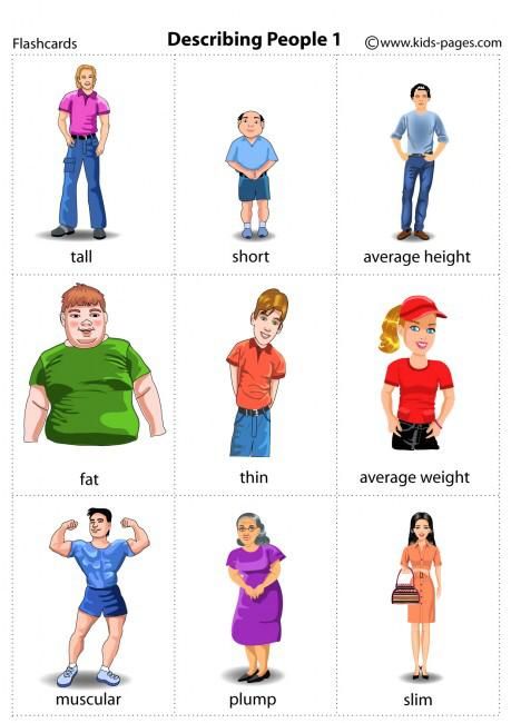 English Primary School, British Vs American, Describing People, Life Skills Kids, Vocabulary Flash Cards, Kids Worksheets Preschool, English Phonics, Average Height, Flashcards For Kids