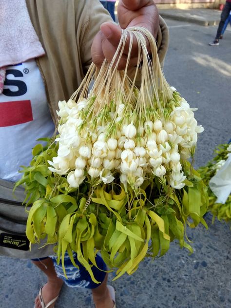 Filipino Flowers Philippines, Filipino Flower Bouquet, Sampaguita Philippines, Sampaguita Bouquet, Bouquet Meaning, Philippine Flowers, Dagupan City, Sampaguita Flower, Filipino Fashion