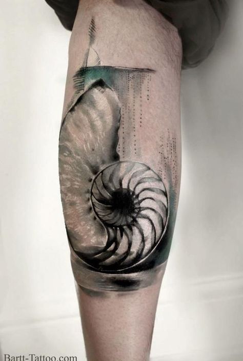 40 Shell Tattoos Make You Wonder Sea Life | Art and Design Nautilus Tattoo, Beach Inspired Tattoos, Sea Life Tattoos, Seashell Tattoos, Chambered Nautilus, Shell Tattoos, Ocean Tattoos, Theme Tattoo, Sea Life Art