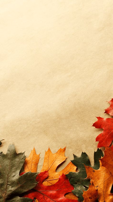 87 Free Fall Phone Wallpapers & Quotes About Falling Leaves - The Joy of Gifts November Backgrounds Wallpapers, Phone Wallpapers Quotes, Quotes About Falling, Fall Wallpapers For Iphone, Free Fall Wallpaper, Autumn Leaves Wallpaper, Fall Wallpapers, Wallpaper Fall, Forest Sunset