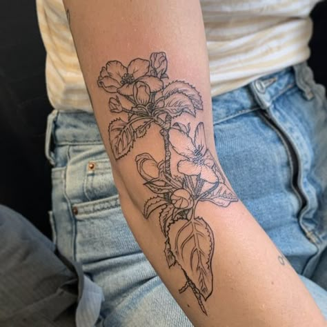 V̶ on Instagram: "Did these v cute apple blossoms for @salt.textile.studios earlier today. 🍏🌸 #tattoos #botanicaltattoos #flowertattoos #appleblossomtattoo #detroittattoos #forearmtattoos #qttr #linework #finelinetattoos" Floral With Words Tattoo, Flowering Tree Tattoo, Many Small Tattoos Arm, Apple Flowers Tattoo, Apple Blossom Tree Tattoo, Wildflower Tattoo Linework, Crab Apple Tree Tattoo, Bougainvillea Tattoo, Arch Tattoo