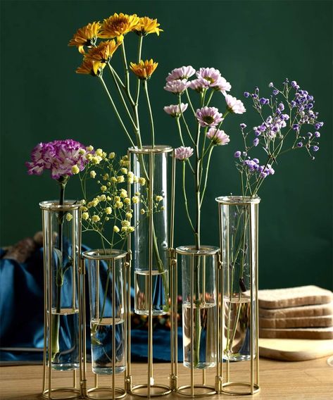 Amazon.com: Bigsee Test Tube Vase for Flowers, Glass Vase with Metal Stand Racks Hydroponic Test Tube Vase Set of 5, Gold Hinged Plant Vases Display Set Table Centerpieces Vase for Home Decor : Home & Kitchen Flowers Glass Vase, Plant Vases, Test Tube Vase, Vase Display, Vase Holder, Vase For Flowers, Plant Vase, Vase Centerpieces, Propagating Plants