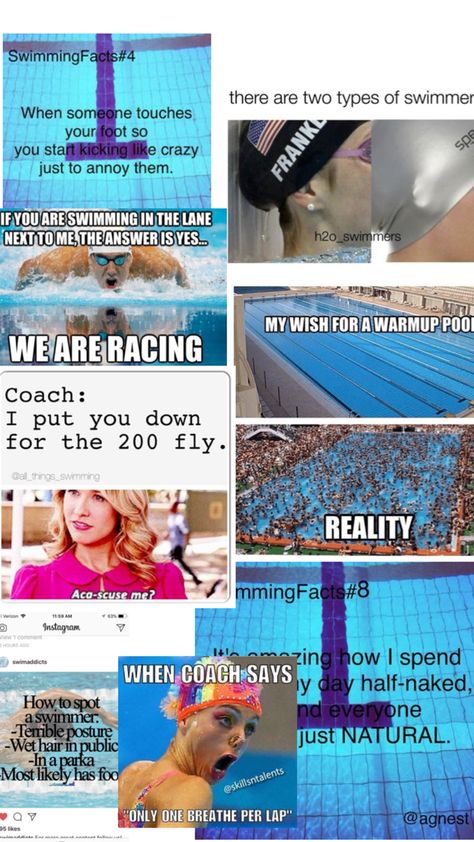 Swimming Quotes Funny, Swimming Funny, Swimming Posters, Swimming Memes, Swim Life, Swimming Quotes, Competitive Swimming, Memes Lol, Swimming Diving