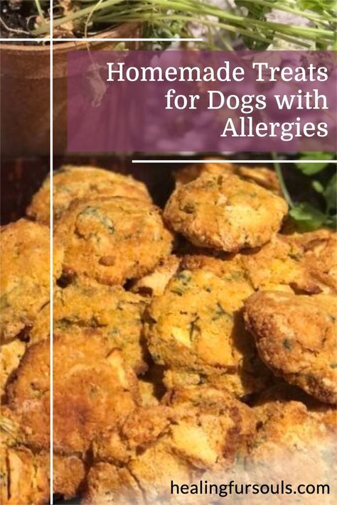 Homemade Treats For Dogs, Treats For Dogs With Allergies, Wheat Free Dog Treats, Dog Cookie Recipes, Dogs With Allergies, Pet Treats Recipes, Bacon Dog, Dog Treats Homemade Easy, Dog Treats Grain Free