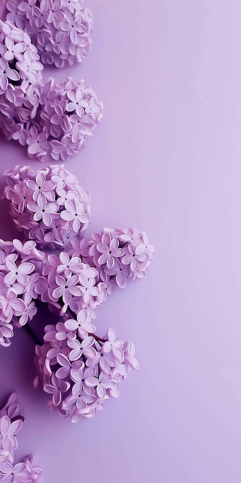 Frühling Wallpaper, Best Flower Wallpaper, Iphone Wallpaper Lights, Purple Flowers Wallpaper, Non Veg, Getting A Tattoo, Floral Wallpaper Phone, Simple Phone Wallpapers, Flower Iphone Wallpaper