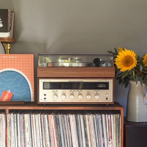 Bright Basement, Record Player Setup, Basement Transformation, Record Player Aesthetic, Best Record Player, Record Player Speakers, Direct Drive Turntable, Record Room, Cool Bookshelves