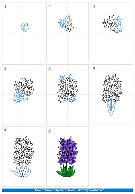 How To Draw Hyacinth Flower Step By Step, How To Draw A Hyacinth, How To Draw Hyacinth Flower, Hyacinth Flower Drawing Simple, Hyacinth Drawing Simple, Hyacinths Drawing, Hyacinth Drawing, Hur Man Ritar Blommor, White Narcissus