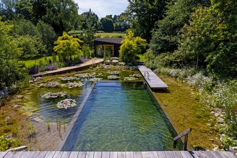 From organic pools to £100k huts, the seven trends defining the housing market today - Country Life Swimming Ponds, Swimming Pool Pond, Natural Swimming Ponds, Swimming Pond, Natural Pond, Natural Swimming Pools, Natural Swimming Pool, Pond Design, Dream Pools