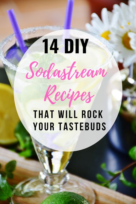 Sodastream Recipes Healthy, Soda Stream Syrup Recipes, Diy Soda Stream Syrup, Soda Stream Recipes Healthy, Soda Stream Hack, Soda Water Recipes, Seltzer Water Recipes, Mixology Station, Soda Syrup Recipes