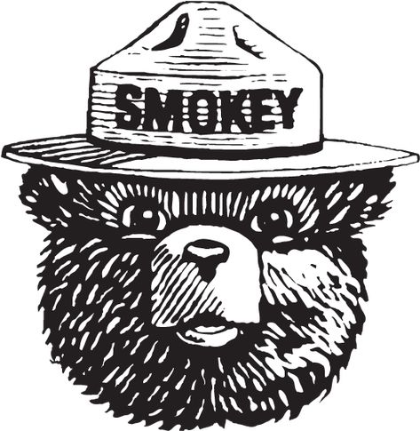 Bear Template, Bear Decal, Smokey The Bear, Smokey Bear, Bear Tattoos, Smokey The Bears, Bear Drawing, Bear Tattoo, Park Ranger