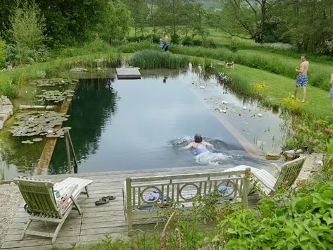 Natural swimming pools - Lowimpact.orgLow impact living info, training, products & services Swimming Pool Design Ideas, Swimming Pool Pond, Swimming Ponds, Living Pool, Natural Swimming Ponds, Pool Design Ideas, Pool Pond, Small Swimming Pools, Swimming Pool Ideas