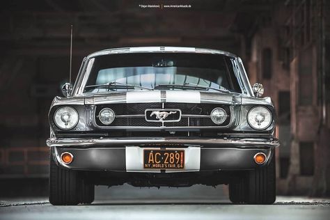 1965 Ford Mustang | private Client | Location: Winterthur Switzerland | 2017 ... Custom Wheels Trucks, Mustang Car, Ford Mustang Coupe, Shelby Mustang, Auto Retro, Classic Mustang, Shelby Gt, Mustang Fastback, Ford Classic Cars