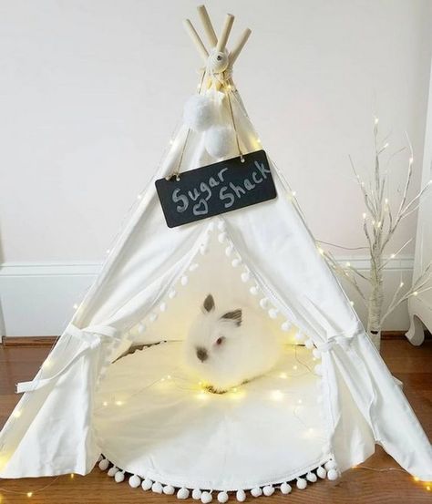 How to Make a Teepee House For Your Pet | Your Projects@OBN Diy Bunny Toys, Diy Cat Tent, Happy Day Farm, Pet Rabbit Care, Somebunny Loves You, Bunny Hutch, Bunny Room, Bunny Stuff, Indoor Rabbit