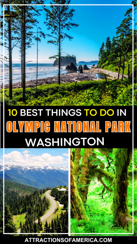 10 best things to do in Olympic National Park Washington. Washington State National Parks, Olympic National Park Itinerary, National Park Itinerary, Oregon Trip, Olympic National Park Washington, Washington State Travel, Washington Travel, Fall Road Trip, Port Angeles