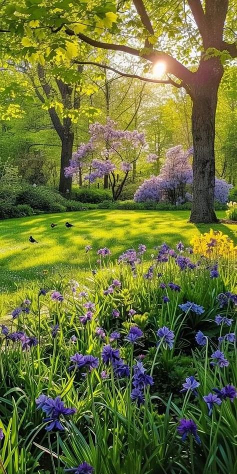 Flower Care Tips, Spring Phone Wallpapers, Spring Landscape Photography, Diy Flower Arrangements, Spring Scenery, Spring Images, Photography Diy, Beautiful Landscape Photography, Dreamy Landscapes