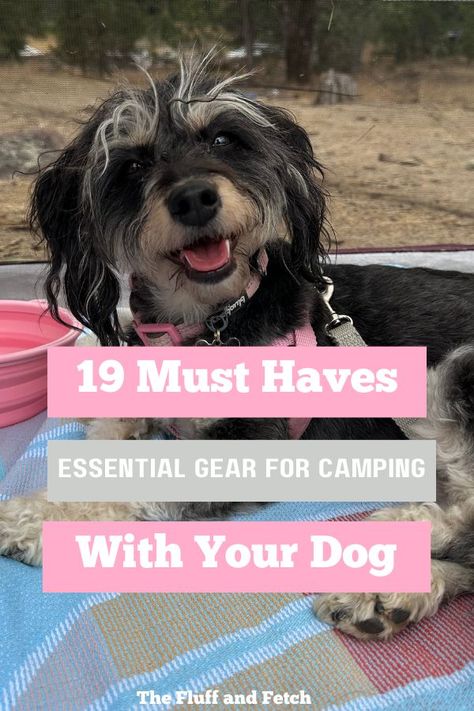 Plan the perfect weekend getaway with your dog using our ultimate guide to dog camping essentials. Discover the must-have gear and tips to ensure a safe and enjoyable adventure for both you and your pup! Pet Camping, Dog Camping, Crate Training, Camping Essentials, Dog Behavior, Puppy Training, Weekend Getaway, New Puppy, Weekend Getaways